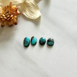 Small Sea Green Freeform Sonora Turquoise, Set of 4 Background