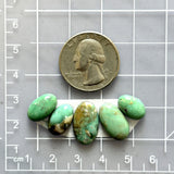 Small Mint Green Oval Broken Arrow Variscite, Set of 5 Dimensions