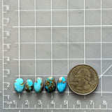 Small Sky Blue Mixed Sonora Turquoise, Set of 5 Dimensions