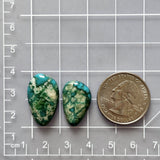 Medium Sky Blue Freeform Fox Turquoise, Set of 2 Dimensions