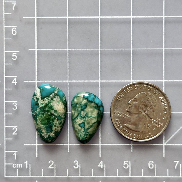 Medium Sky Blue Freeform Fox Turquoise, Set of 2 Dimensions