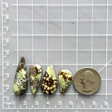 Large Mint Green Teardrop Treasure Mountain Turquoise, Set of 4 Dimensions