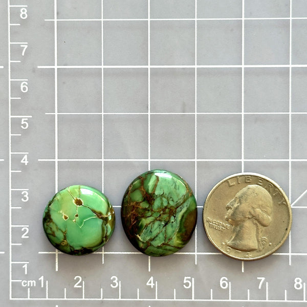 Large Deep Green Round Crescent Lake Variscite, Set of 2 Dimensions