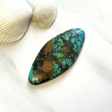 Large Sea Green Freeform Yungai Turquoise Background