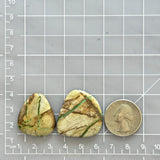 Large Deep Green Freeform Royston Turquoise, Set of 2 Dimensions