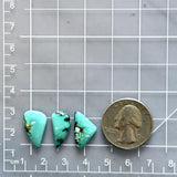 Small Sky Blue Freeform Kingman Turquoise, Set of 3 Dimensions