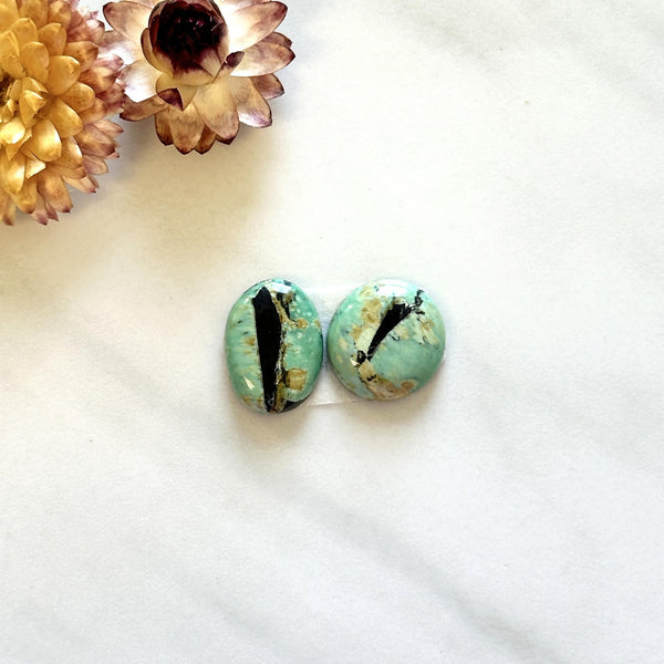 Small Mint Green Mixed Crescent Lake Variscite, Set of 2 Background