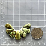 Medium Faint Green Teardrop Treasure Mountain Turquoise, Set of 7 Dimensions