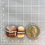 Large Red Freeform White Buffalo Dolomite, Set of 2 Dimensions