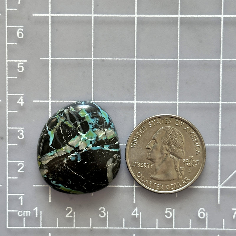 Large Sky Blue Freeform Blue Moon Turquoise Dimensions