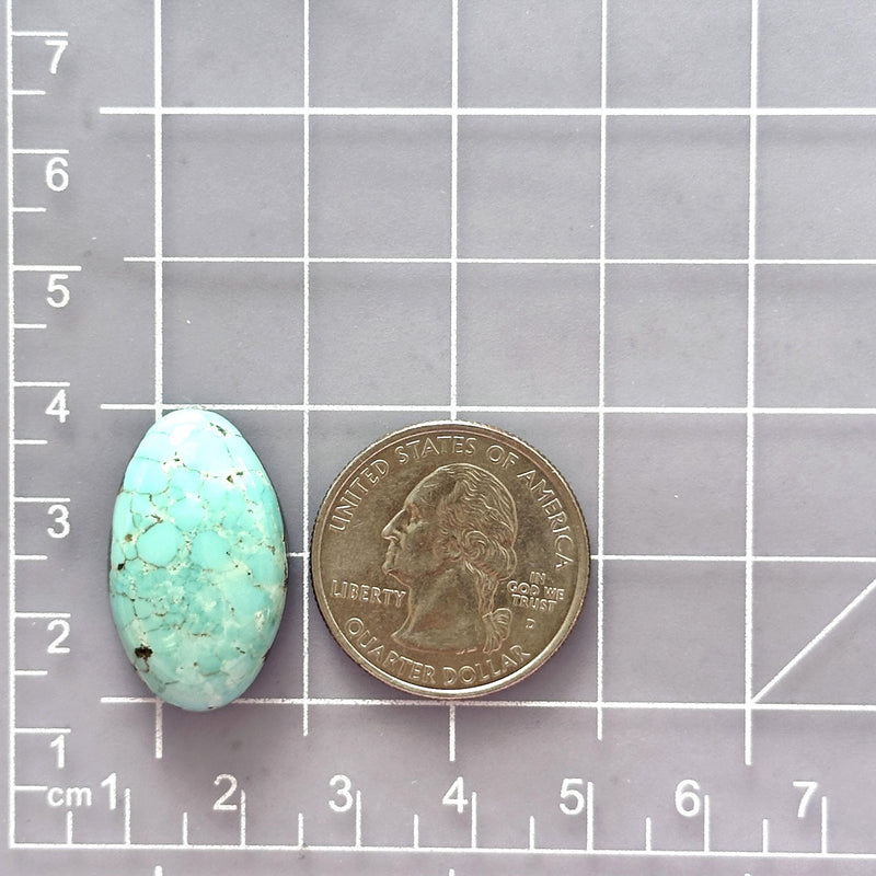 Large Sky Blue Oval Lone Mountain Turquoise Dimensions