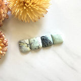Small Mint Green Cushion Crescent Lake Variscite, Set of 4 Background