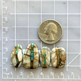 Medium Sea Green Freeform Royston Turquoise, Set of 4 Dimensions