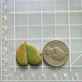 Medium Sea Green Teardrop Treasure Mountain Turquoise, Set of 2 Dimensions