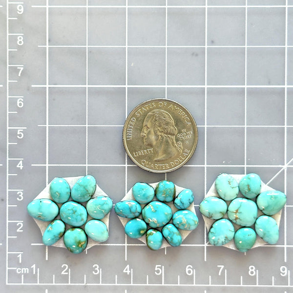 Small Sky Blue Mixed Lone Mountain Turquoise, Set of 25 Dimensions