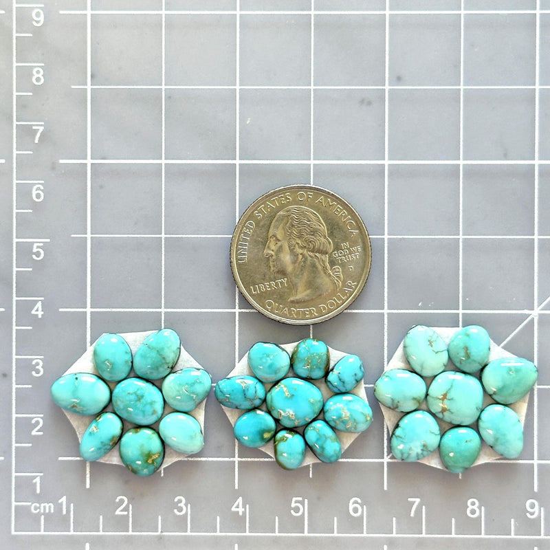 Small Sky Blue Mixed Lone Mountain Turquoise, Set of 25 Dimensions