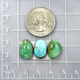 Small Mixed Freeform Carico Lake Turquoise, Set of 3 Dimensions