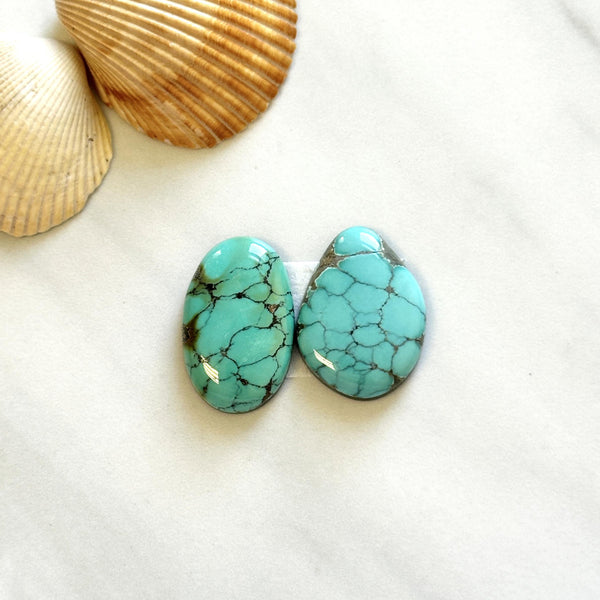 Large Sky Blue Mixed Broken Arrow Variscite, Set of 2 Background