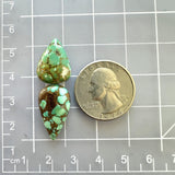 Medium Bamboo Green Teardrop Namtso Lake Turquoise, Set of 2 Dimensions