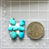 Small Sky Blue Freeform Kingman Turquoise, Set of 6 Dimensions