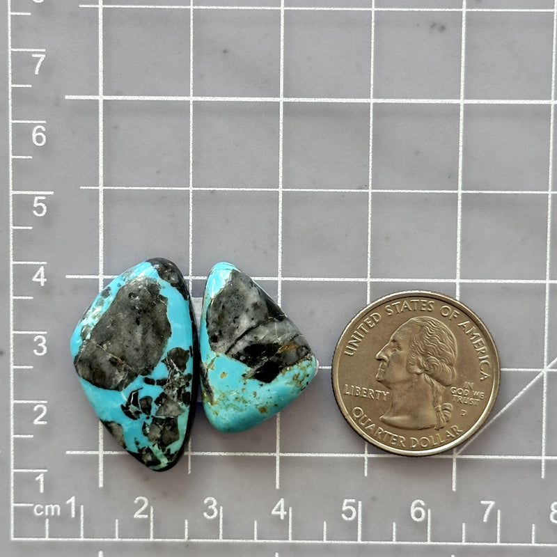 Large Sky Blue Freeform Blue Moon Turquoise, Set of 2 Dimensions