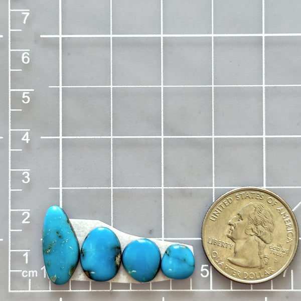 Small Ocean Blue Freeform Sleeping Beauty Turquoise, Set of 4 Dimensions