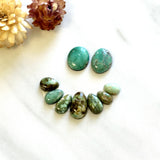 Small Mixed Mixed Broken Arrow Variscite, Set of 9 Background