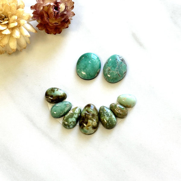 Small Mixed Mixed Broken Arrow Variscite, Set of 9 Background