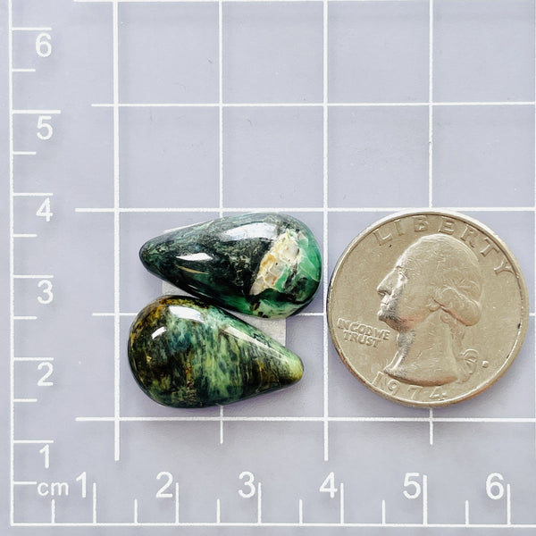 Large Deep Green Teardrop Crescent Lake Variscite, Set of 2 Dimensions