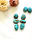 Small Sky Blue Mixed Fox Turquoise, Set of 8 Background