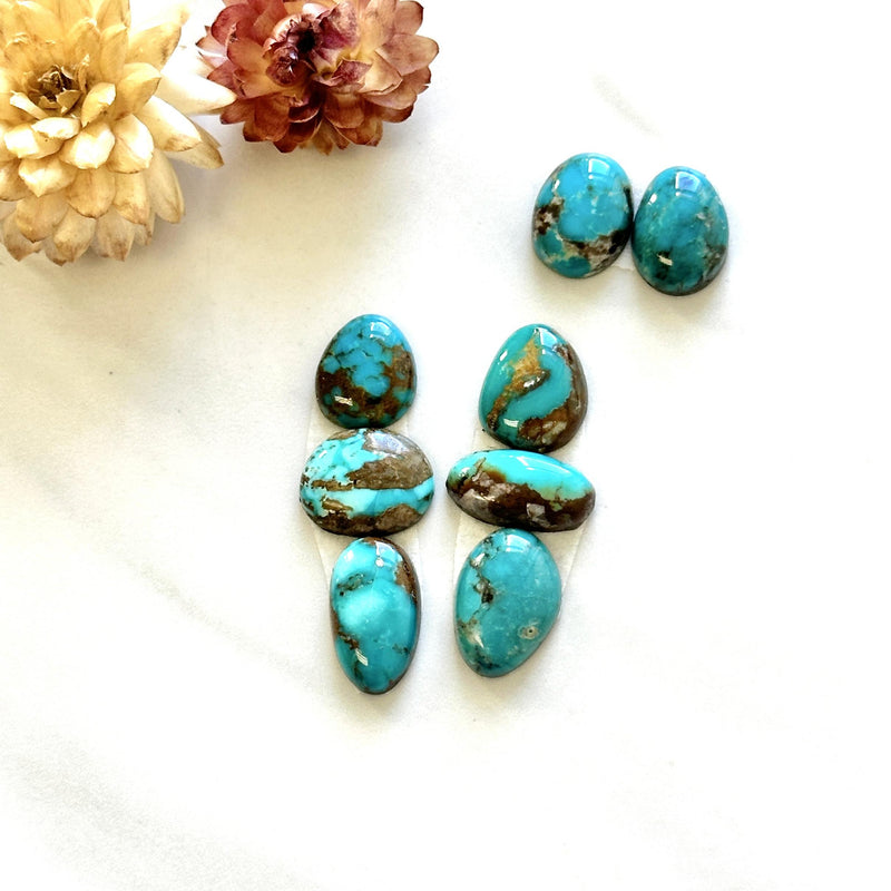 Small Sky Blue Mixed Fox Turquoise, Set of 8 Background