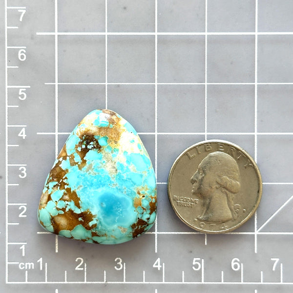 Large Sky Blue Freeform Royston Turquoise Dimensions