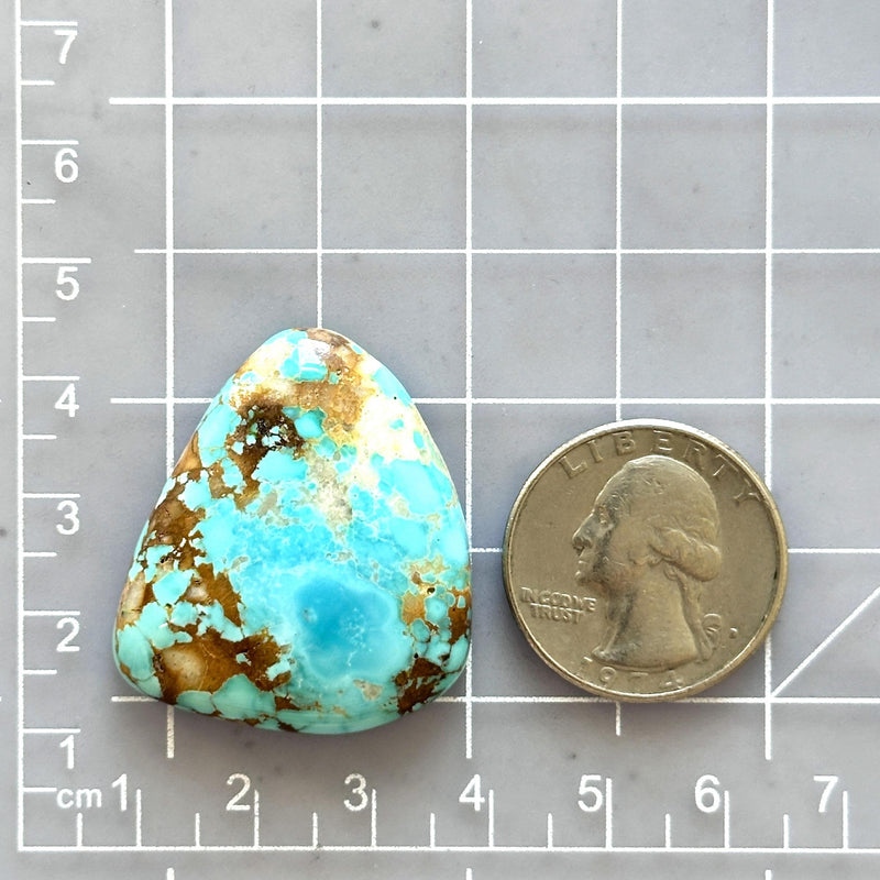 Large Sky Blue Freeform Royston Turquoise Dimensions