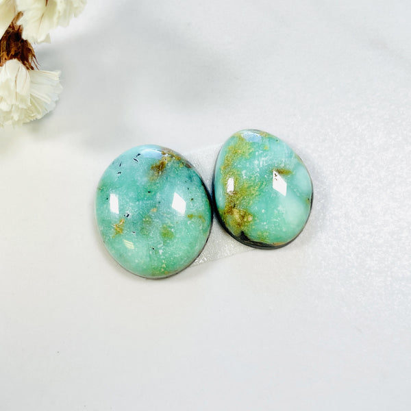 Small Sea Green Freeform Tyrone Turquoise, Set of 2 Background