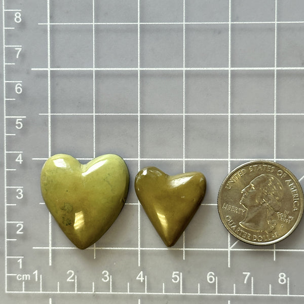 Large Pale Brown Heart Crescent Lake Variscite, Set of 2 Dimensions