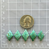 Small Mint Green Diamond Namtso Lake Turquoise, Set of 5 Dimensions