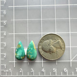 Small Sea Green Teardrop Fox Turquoise, Set of 2 Dimensions