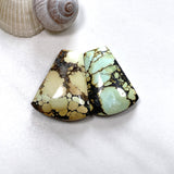 Large Mixed Petal Treasure Mountain Turquoise, Set of 2 Background