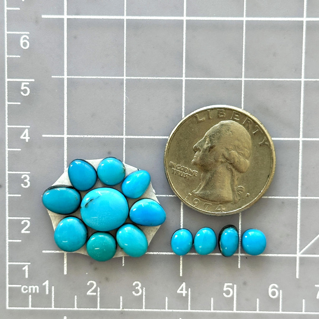 13 Turquoise Small Sky Blue Mixed Sleeping Beauty Turquoise, Set of 13 - Turquoise Moose