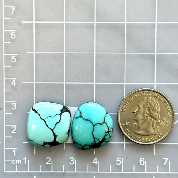 Large Sky Blue Freeform Yungai Turquoise, Set of 2 Dimensions
