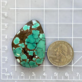 Large Bamboo Green Freeform Bamboo Mountain Turquoise Dimensions