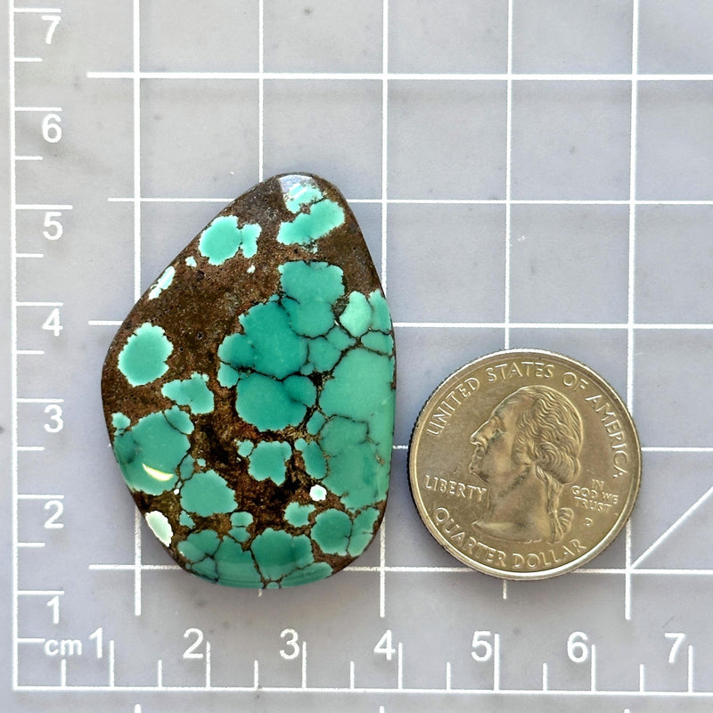 Large Bamboo Green Freeform Bamboo Mountain Turquoise Dimensions