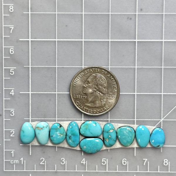Small Sky Blue Mixed Lone Mountain Turquoise, Set of 10 Dimensions