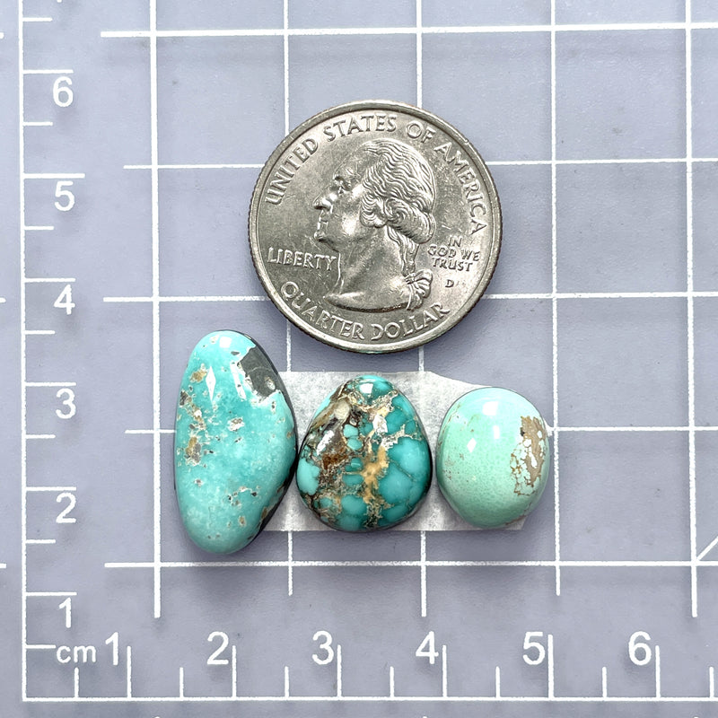 Medium Sky Blue Freeform Carico Lake Turquoise, Set of 3 Dimensions