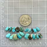 Small Mixed Teardrop Mixed Turquoise, Set of 20 Dimensions