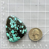 Large Sky Blue Freeform Yungai Turquoise Dimensions