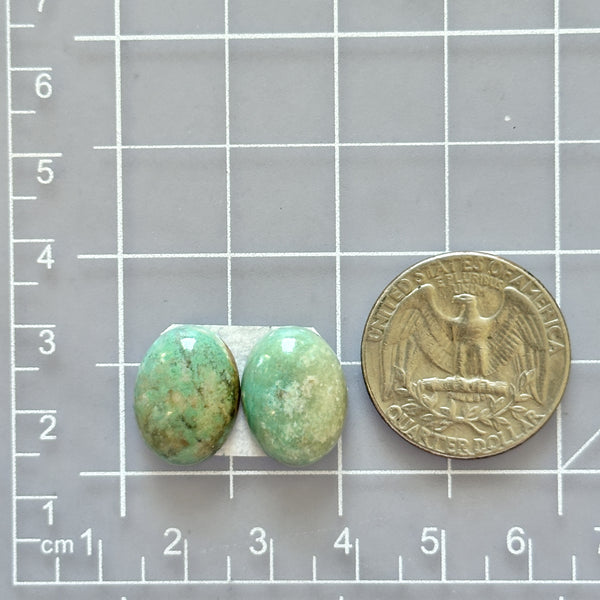 Small Mint Green Oval Broken Arrow Variscite, Set of 2 Dimensions