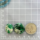 Large Deep Green Mixed Crescent Lake Variscite, Set of 2 Dimensions