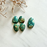 Small Deep Green Freeform Fox Turquoise, Set of 5 Background