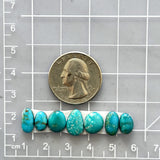 Small Sky Blue Mixed Fox Turquoise, Set of 7 Dimensions